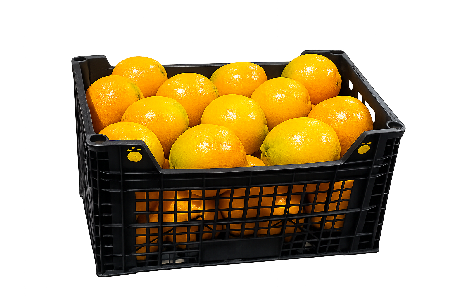 Plastic Box 15 kg