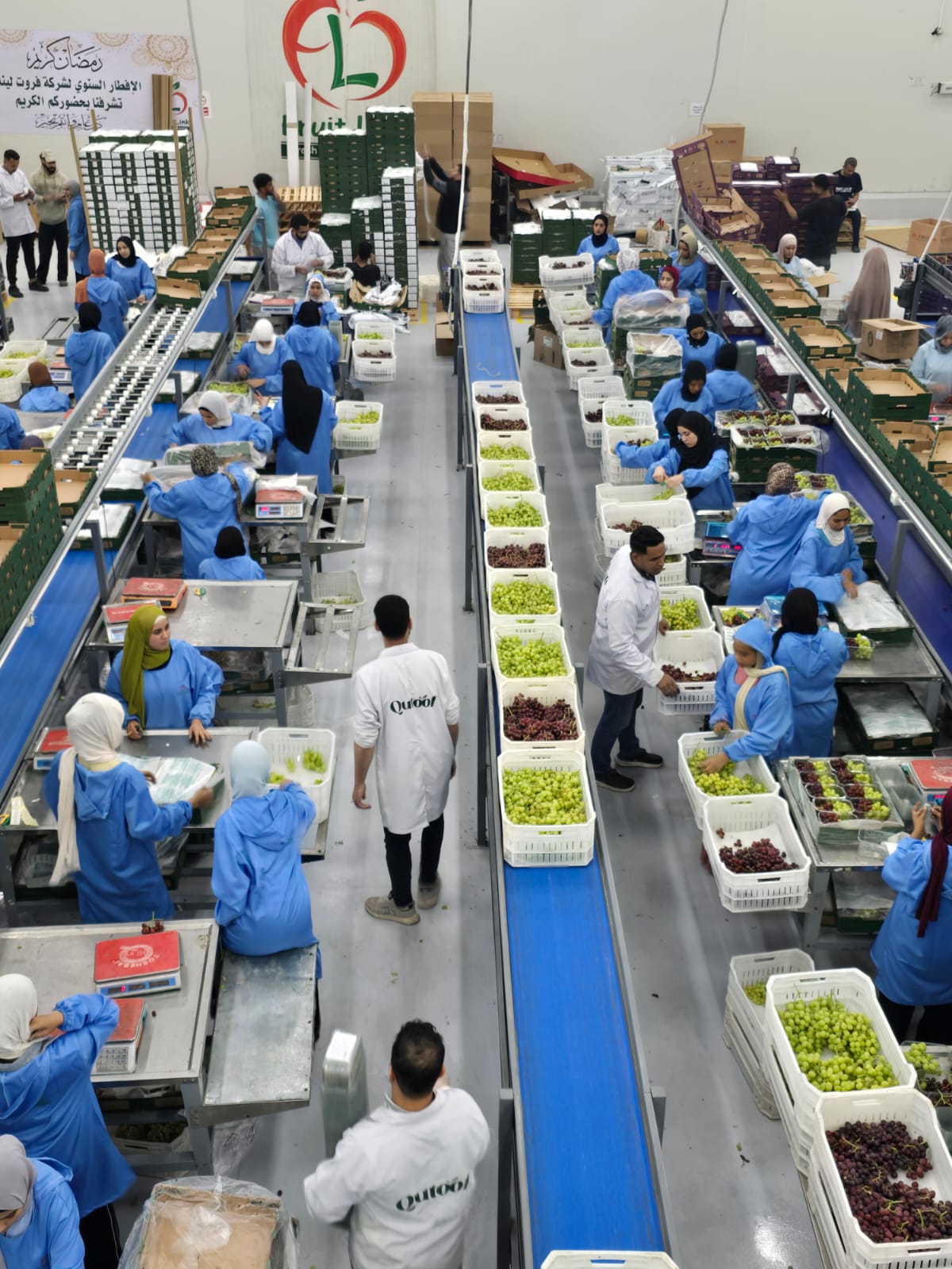 Packing Line