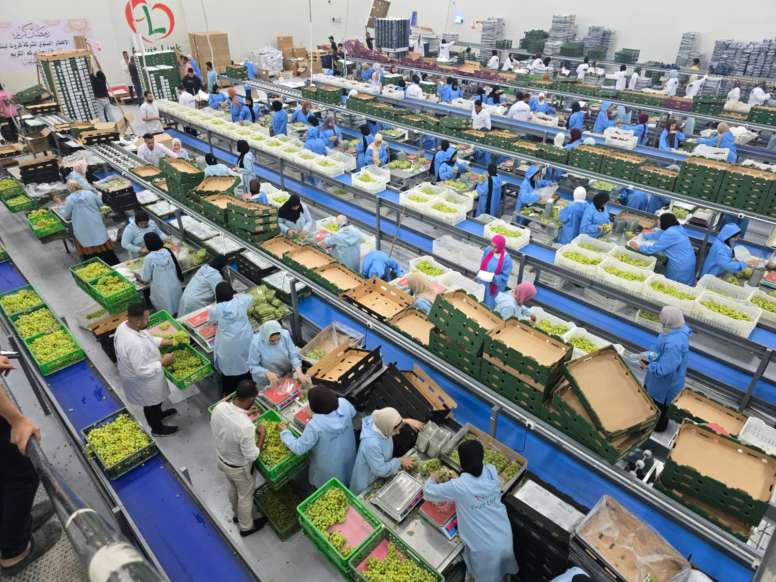 Processing Area