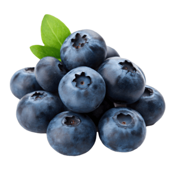 Berries