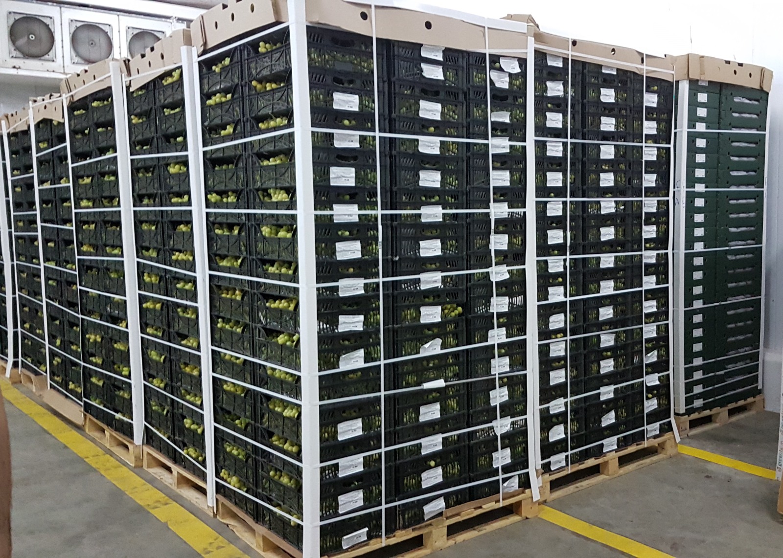 Cold Storage