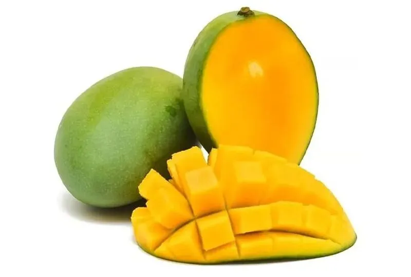 Zebdya